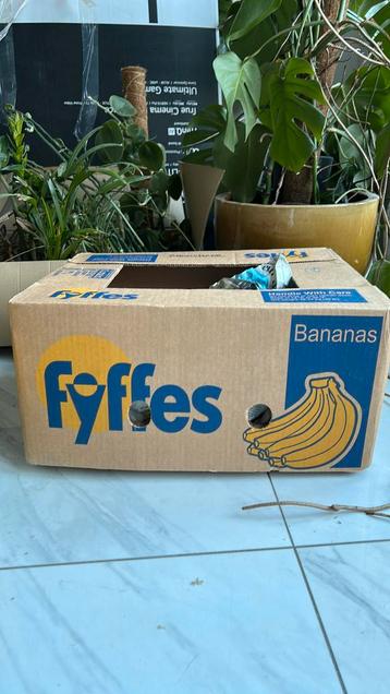 Hele stapel bananendozen - gratis ophalen in Oegstgeest beschikbaar voor biedingen