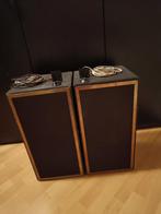 2 x grote Box luidsprekers met beugels. Ophalen., Audio, Tv en Foto, Luidsprekers, Ophalen of Verzenden, 120 watt of meer, Front, Rear of Stereo speakers