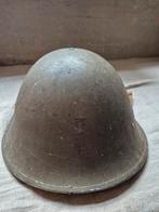 Britse turtle helm, Overige gebieden, Onbekend, Overige soorten, Ophalen of Verzenden