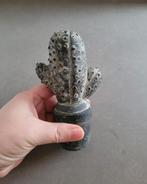 Leuke cactus beeldje, Huis en Inrichting, Woonaccessoires | Overige, Ophalen