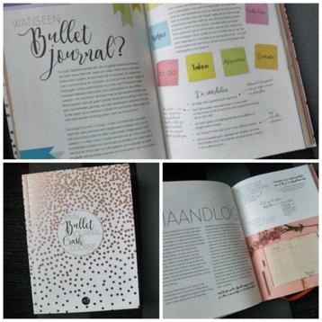 Mijn Bullet Journal Crash Course - Mus beschikbaar voor biedingen