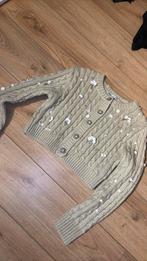 vest met sier zara, Kleding | Dames, Ophalen of Verzenden, Zo goed als nieuw