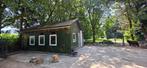 (mini) shetlandpony vakantie, opvang, stalling, pension, Weidegang, 2 of 3 paarden of pony's