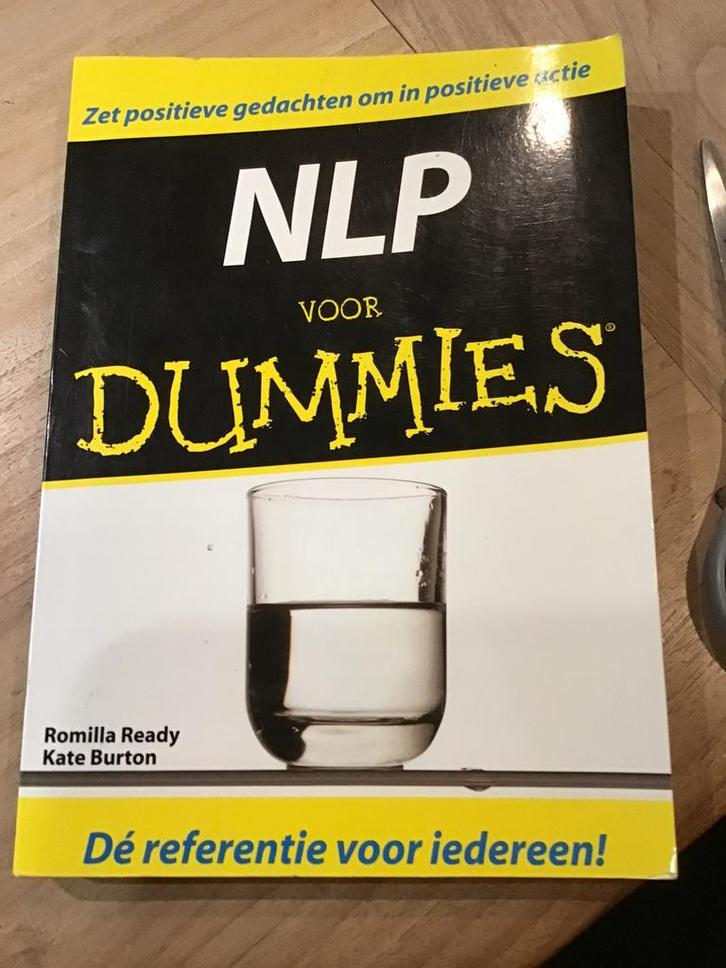 Romilla Ready - NLP voor Dummies, Boeken, Advies, Hulp en Training, Zo goed als nieuw, Ophalen of Verzenden
