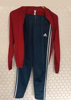 Adidas trainings pak blauw/bordeaux rood, Adidas, Overige typen, Ophalen of Verzenden, Zo goed als nieuw