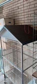 Huis volière te koop., Dieren en Toebehoren, Ophalen, Zo goed als nieuw, Aluminium, Volière
