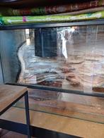 Te koop terrarium, Dieren en Toebehoren, Reptielen en Amfibieën | Toebehoren, Ophalen, Zo goed als nieuw, Terrarium of Paludarium