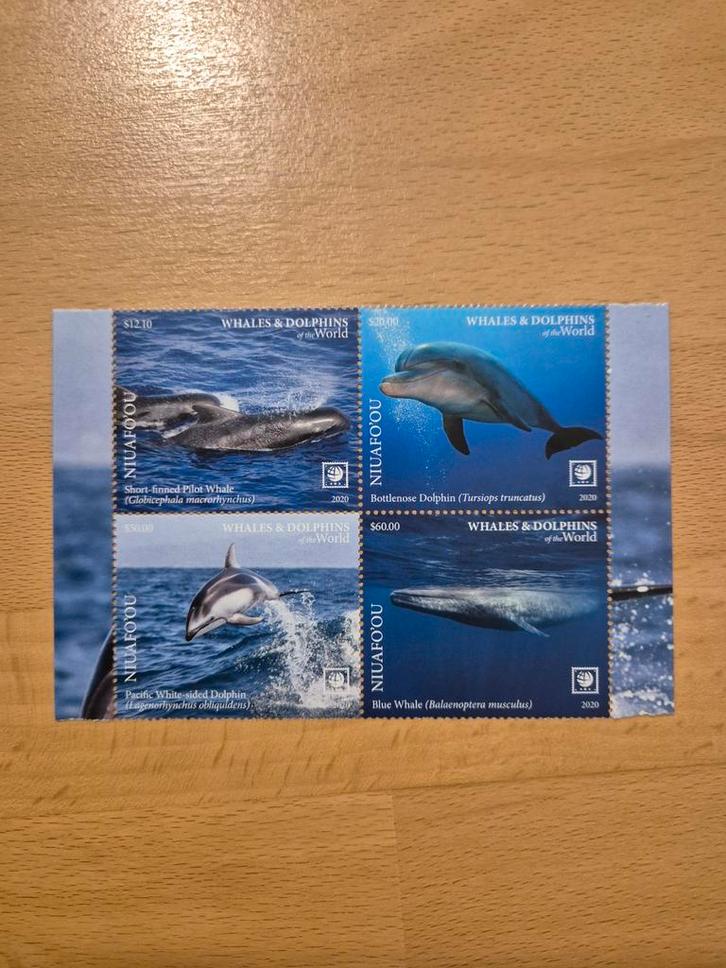 Niuafo'ou 2020 walvissen en dolfijnen, Postzegels en Munten, Postzegels | Thematische zegels, Postfris, Dier of Natuur, Ophalen of Verzenden