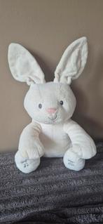 Kiekeboe Konijn - Zingt & Speelt!, Ophalen