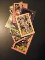 Dekamarkt Artis Deka Dieren Stickers (2026), Verzamelen, Supermarktacties, Dekamarkt, Ophalen of Verzenden