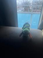 Groene knuffel hond, Ophalen of Verzenden, Zo goed als nieuw, Hond