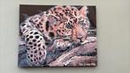 Schilderij luipaard 40x50cm acrylverf, Antiek en Kunst, Kunst | Schilderijen | Modern, Ophalen