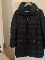 Massimo Dutti, Kleding | Dames, Ophalen of Verzenden, Zo goed als nieuw, Maat 38/40 (M), Blauw