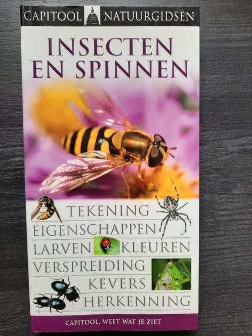 Capitool veldgids insecten en spinnen . George C. MacGavin, Boeken, Natuur, Zo goed als nieuw, Ophalen of Verzenden