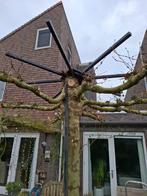 Zware kwaliteit boomring/frame/dakscherm voor leiden takken, Tuin en Terras, Planten | Bomen, Bloeit niet, Dakboom, Minder dan 100 cm