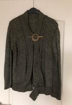 Apart gebreid vestje groen lady mooie sluiting mt 40 ZGAN, Kleding | Dames, Ophalen of Verzenden, Zo goed als nieuw, Maat 38/40 (M)