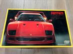 Fujimi Ferrari F40 1/16, Fujimi, Auto, Groter dan 1:32, Nieuw