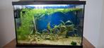 Superfish aquarium, Ophalen, Zo goed als nieuw, Leeg aquarium