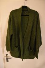 mooi zgan groen vest maat L Hema, Maat 42/44 (L), Ophalen of Verzenden, Zo goed als nieuw, Hema