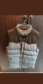 Dickies bodywarmer maat s, Kleding | Heren, Bodywarmers, Ophalen of Verzenden, Zo goed als nieuw, Zwart