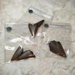 Haaien tanden, Verzamelen, Mineralen en Fossielen, Ophalen of Verzenden, Fossiel