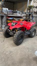 Quad ram r100, Ophalen of Verzenden, Gebruikt