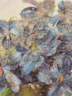 Kaart begin 20ste eeuw met viooltjes en glitter, Ophalen of Verzenden, Voor 1920, Gelopen, Zuid-Holland