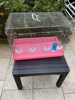 Kweek kooi, Kooi, Minder dan 75 cm, Zo goed als nieuw, Ophalen