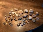 Edelstenen, stenen, fossielen, schelpen, Verzamelen, Mineralen en Fossielen, Ophalen, Mineraal