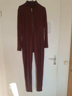 Jumpsuit/catsuit bruin rib Chastar, Kleding | Dames, Ophalen of Verzenden, Nieuw, Maat 38/40 (M), Bruin