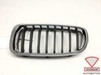 bmw 3 serie f30 grille grill links nieuw! 0670515, Auto-onderdelen, Carrosserie en Plaatwerk, Ophalen of Verzenden, Nieuw, Links