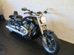 Harley-Davidson VRSCF V-ROD MUSCLE BLACK-EDITION! (bj 2012), Motoren, Motoren | Harley-Davidson, Chopper, Bedrijf, 1250 cc