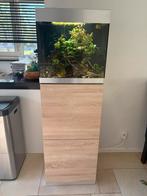Oase Highline 125, Ophalen, Zo goed als nieuw, Leeg aquarium