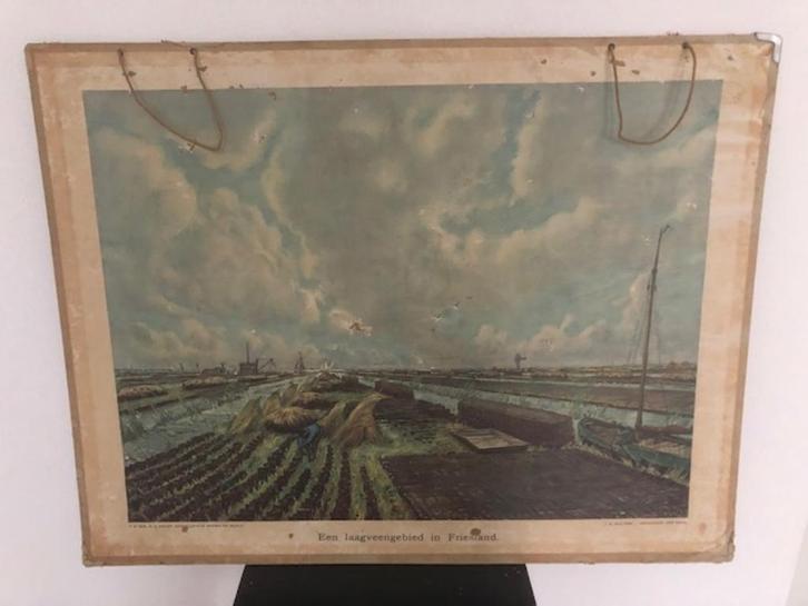 schoolplaten, Antiek en Kunst, Antiek | Schoolplaten, Natuur en Biologie, Ophalen of Verzenden