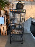 Papegaaienkooi vogelkooi, Dieren en Toebehoren, Vogels | Hokken en Kooien, Ophalen, Gebruikt, Metaal, Vogelkooi