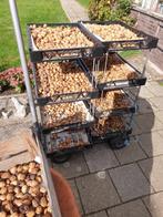 Biologische walnoten gedroogd, Diversen, Levensmiddelen, Ophalen