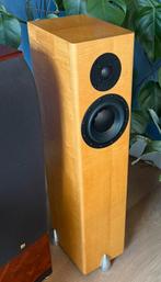 Totem Forest, Overige merken, Ophalen of Verzenden, Zo goed als nieuw, 120 watt of meer