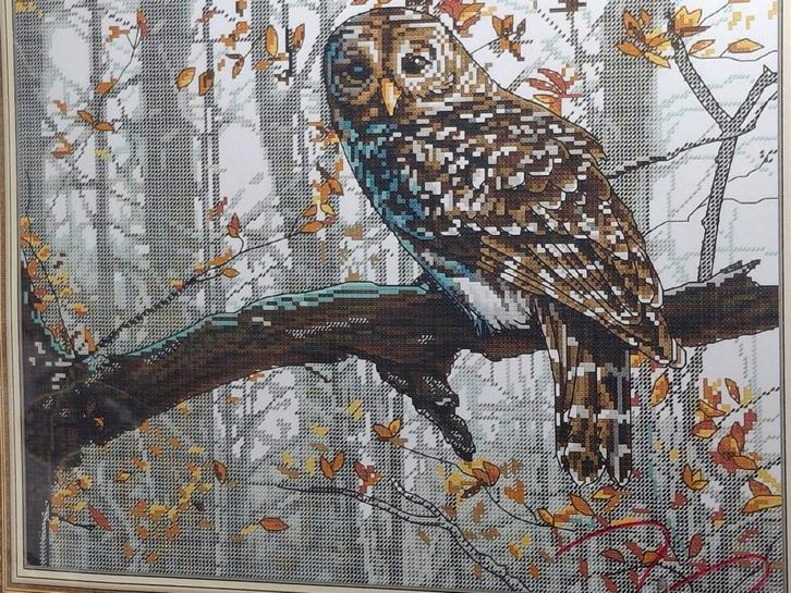 Borduurpakketten Dieren - Uil, Mopshond, Poes, Hobby en Vrije tijd, Borduren en Borduurmachines, Nieuw, Borduurpakket, Handborduren