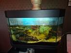 180 liter aquarium  €100, Dieren en Toebehoren, Ophalen, Zo goed als nieuw, Leeg aquarium