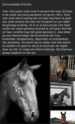 Verzorg paard aangeboden, Dieren en Toebehoren, Ophalen of Verzenden, Recreatie