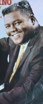 Fats Domino -- Diverse LPs  --  Zie omschrijving en foto,s, Ophalen of Verzenden, 1960 tot 1980, 12 inch