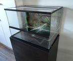 Terrarium 60x60x40, Dieren en Toebehoren, Reptielen en Amfibieën | Toebehoren, Ophalen