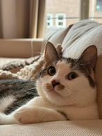 Vriendje gezocht!, 0 tot 2 jaar