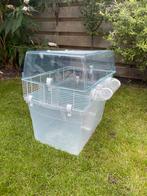 Knaagdierenkooi Ferplast Duna met benodigdheden, Minder dan 60 cm, Kooi, Minder dan 75 cm, Ophalen of Verzenden