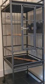 Papegaai kooi, Dieren en Toebehoren, Vogels | Hokken en Kooien, Ophalen of Verzenden, Zo goed als nieuw, Metaal, Vogelkooi