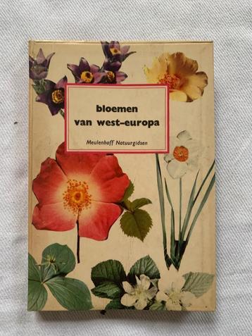 Bloemen van West-Europa beschikbaar voor biedingen