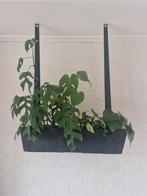 Hangende bloembak - Stijlvol en uniek!, Tuin en Terras, Bloembakken en Plantenbakken, Tuin, Kunststof, Minder dan 30 cm, Ophalen of Verzenden
