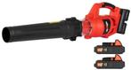 Bladblazer 2 Accu’s 20V-Li-ion, Ophalen of Verzenden, Nieuw, Accu, Handgedragen