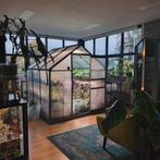 Open House Kelsplants, Ophalen, Halfschaduw, Minder dan 100 cm