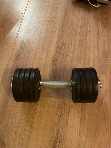 Halter met 8x 1kg gewichten beschikbaar voor biedingen